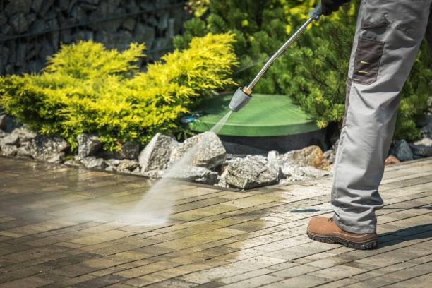 Trusted Louisa, KY Pressure Washing Services Experts