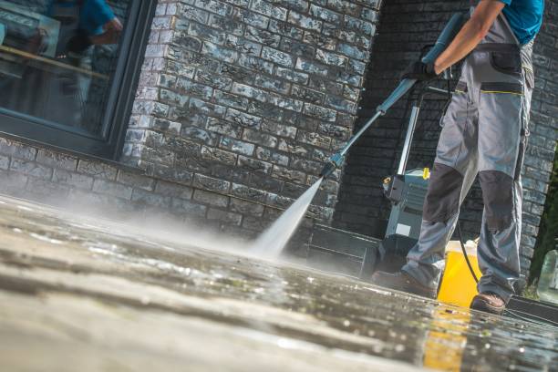 Best Brick and Stone Cleaning in Louisa, KY