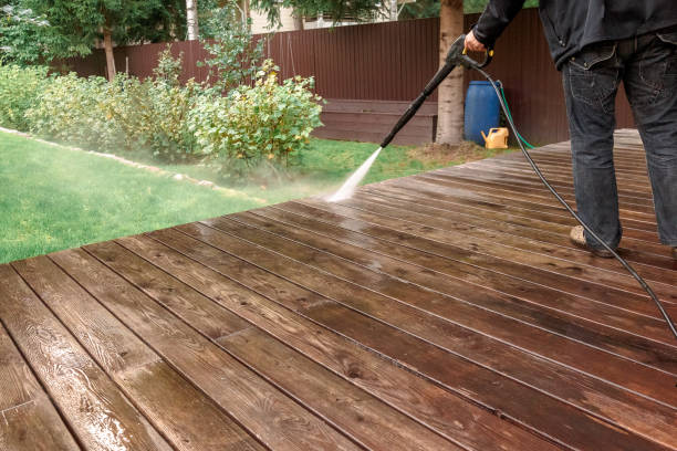 Best Driveway Cleaning and Restoration in Louisa, KY