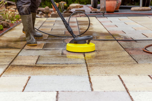 Best Soft Washing for Delicate Surfaces in Louisa, KY